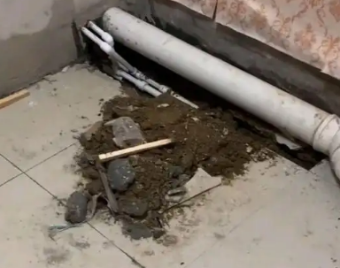 江陵卫生间漏水检测哪家好